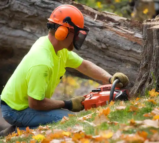 tree services Proctorville